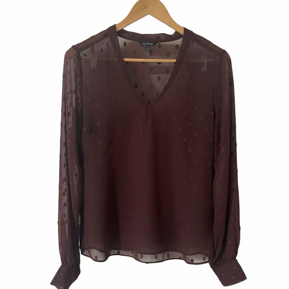 Express Sheer V-Neck Blouse in Deep Brown